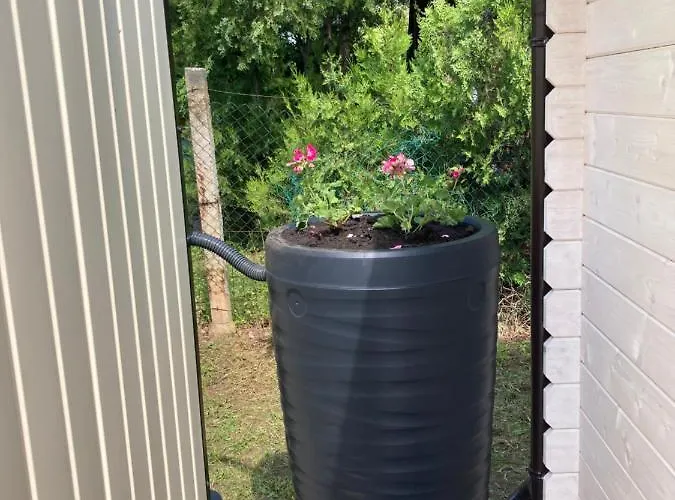 Relax Apartament Csopak